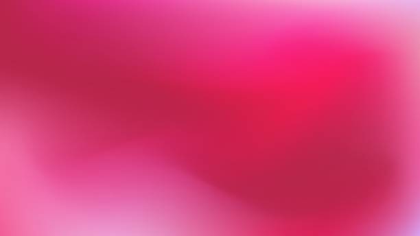 ilustrações de stock, clip art, desenhos animados e ícones de abstract blurred viva magenta color vector banner - soft pink flash