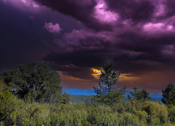 trees in the mountains - western usa mountain peak landscape farm imagens e fotografias de stock