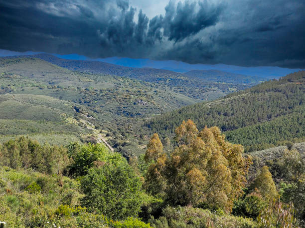 trees in the mountains - western usa mountain peak landscape farm imagens e fotografias de stock