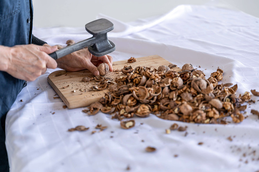 Woman's hands cracking walnut shells.