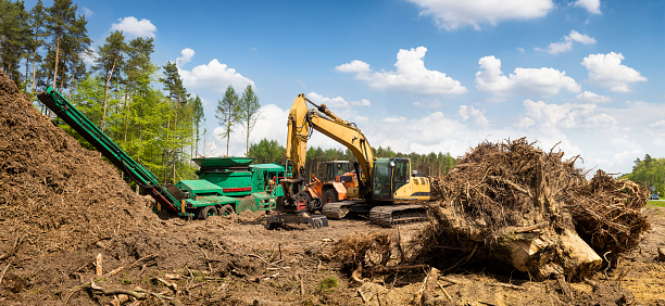 The construction machinery used for removes roots to prepare the ground for the construction of highway S3, Wolin, Poland