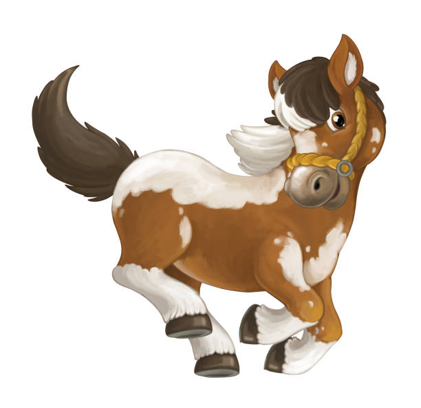 Cartoon happy horse is standing smiling and looking - artistic style - illustration for children Cartoon happy horse is standing smiling and looking - artistic style - illustration for children pony stock illustrations