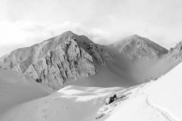 istock Grayscale shot of snowy mountains under a cloudy sky. 1455480881