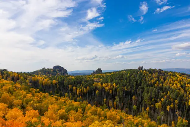 Photo of Autumn colorful landscape with tops of Rock pillars above golden and green dense forest at Stolby Nature Reserve in Krasnoyarsk, Russia. Autumn taiga under blue sky in sunny day