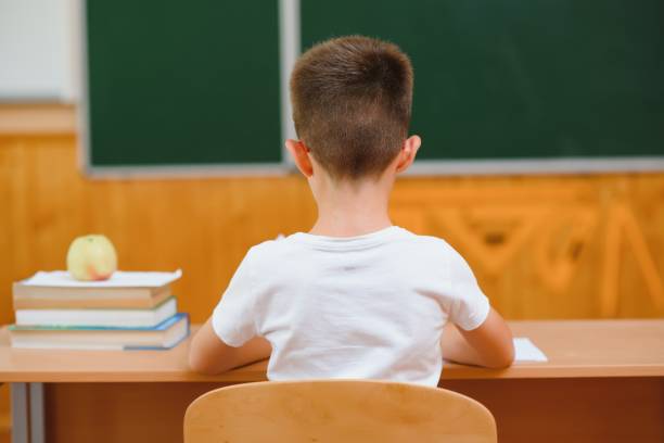 Happy schoolboys sitting at desk, classroom