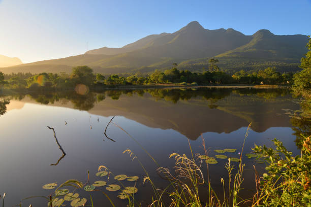 istock The Outeeniqua Mountains, George Botanical Gardens 1455482001