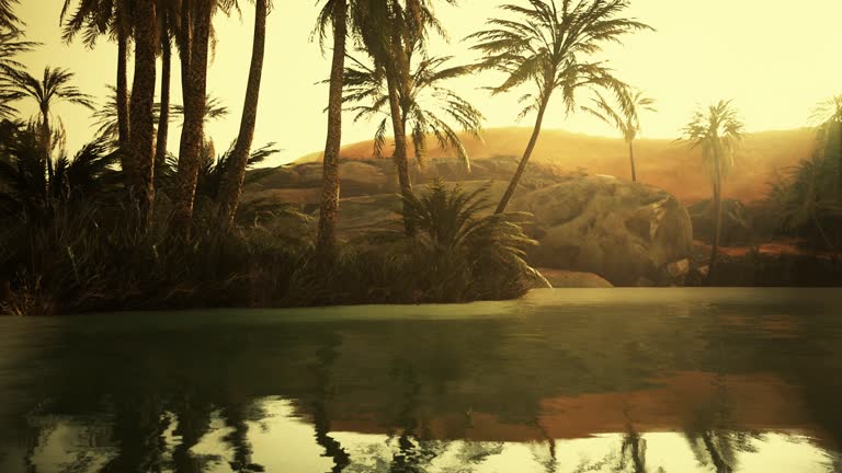 Colorful scene with a palm tree over a small pond in a desert oasis