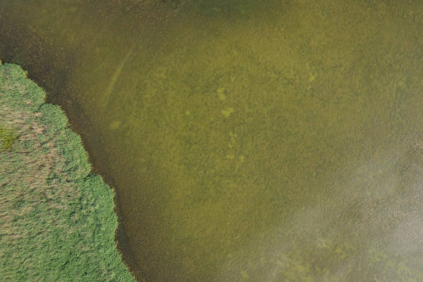 istock landscape with a beautiful lake (aerial) 1455484311