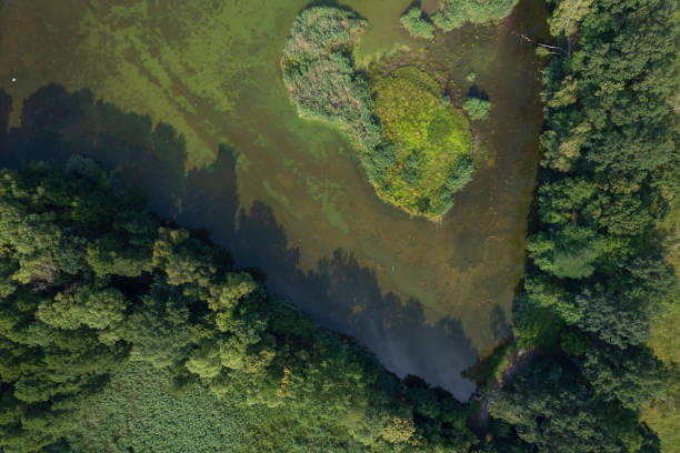 istock landscape with a beautiful lake (aerial) 1455484346