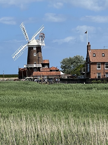 Windmill viewed across the reed beds