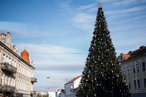 Christmas tree in main square of city Uzhgorod, Ukraine.