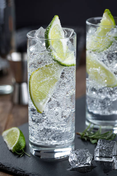 istock Gin and tonic cocktail with lime and ice 1455489260