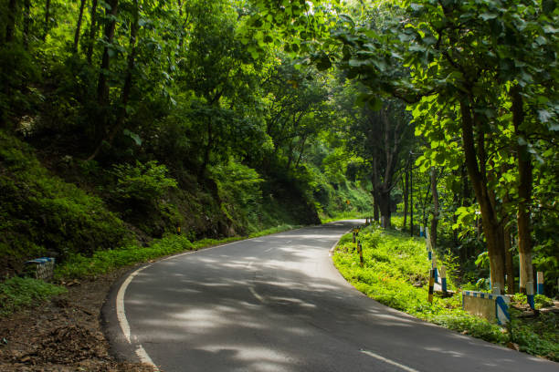 istock The road bends in the sun 1455492443