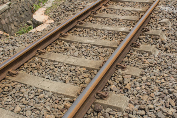 istock The railroad looks very strong 1455492902