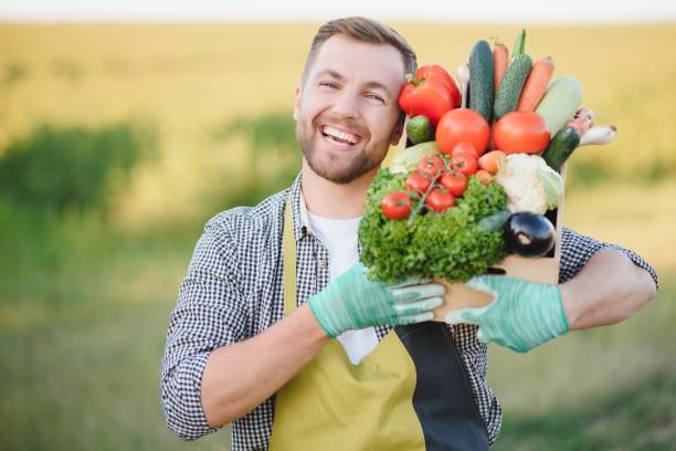 istock farmer carrying box of picked vegetables 1455494257