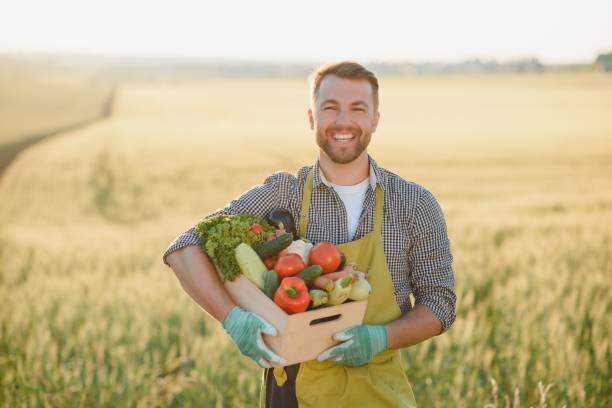 istock Wooden box filled fresh vegetables 1455494360