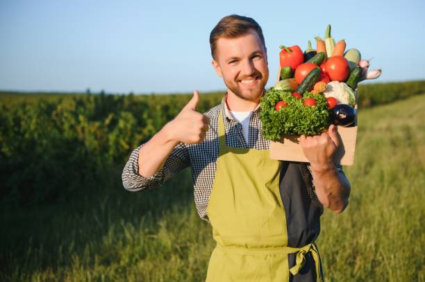 istock Male farmer holding box with vegetables in field 1455494681
