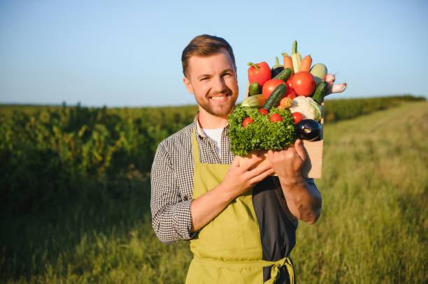 istock farmer carrying box of picked vegetables 1455494683