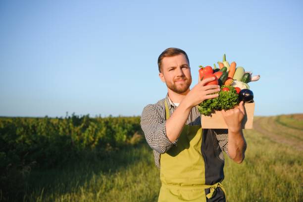 istock Wooden box filled fresh vegetables 1455494694