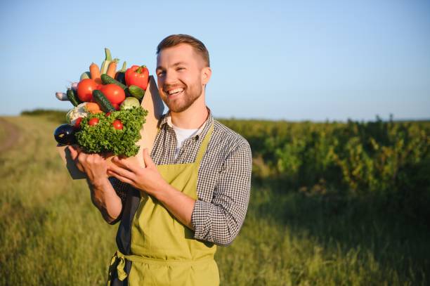 istock farmer carrying box of picked vegetables 1455494698