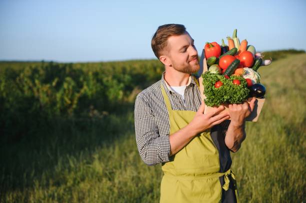 istock Male farmer holding box with vegetables in field 1455494807