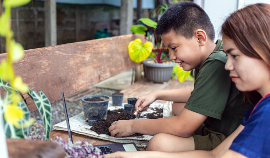 Portrait of a mother and son  special moment. Gardening discovering and teaching learns to grow flowers in pots through online teaching leisure activity concept