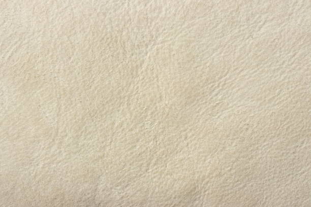 istock Genuine leather (sheepskin) with beige surface, texture animal skin. Background with copy space for text or product due to nice yellow pattern. 1455498071