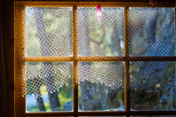 istock Vintage wooden window 1455502699