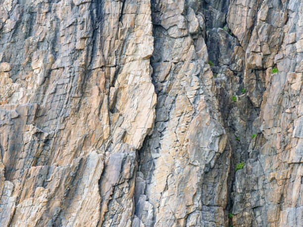 istock Background of stone wall texture rough rock surface 1455503626