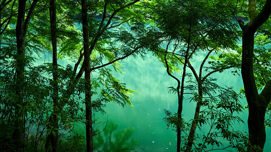 The lake water and trees show a variety of green