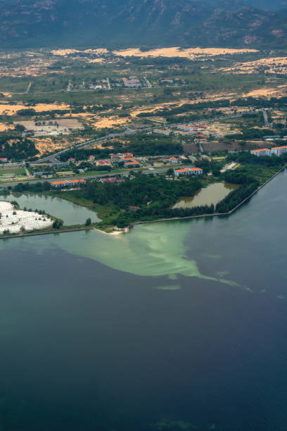 istock Polluted water flows into the sea. 1455508124