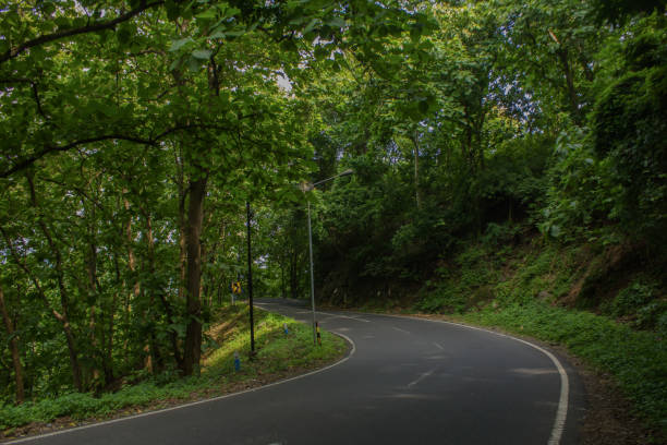 istock The winding road is covered in shadow 1455508952