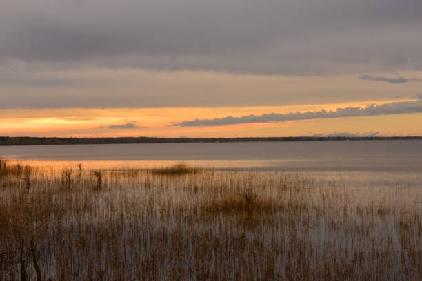 istock Dramatic Dusk At Marshy Lake Before The Rainstorm 1455518719
