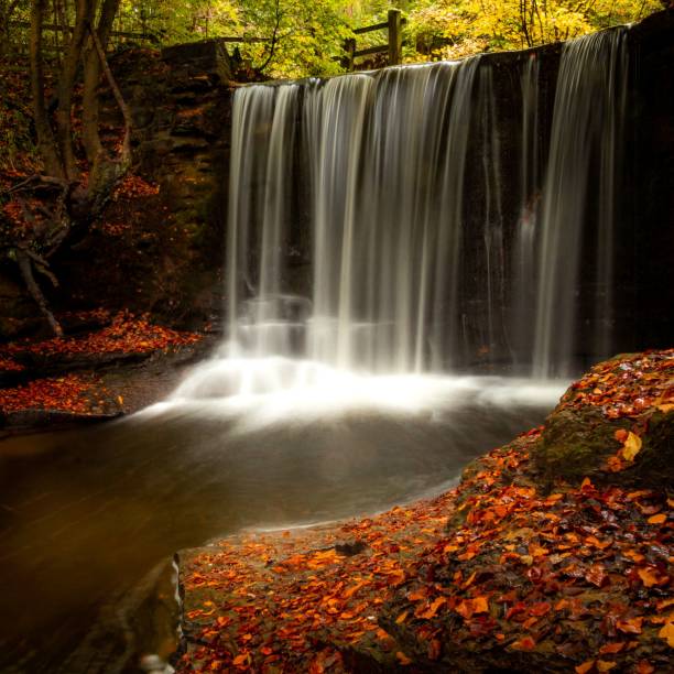 istock Long exposure shot of a waterfall surrounded by rocks and trees 1455520330