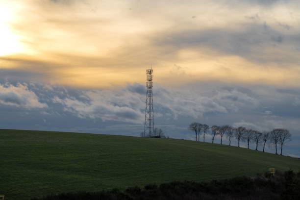 istock Golden sunset in the horizon over the field 1455520449