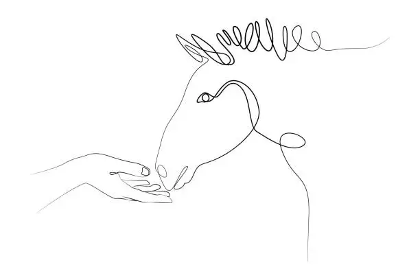 Vector illustration of Horse muzzle and female hand, line drawing isolated from background
