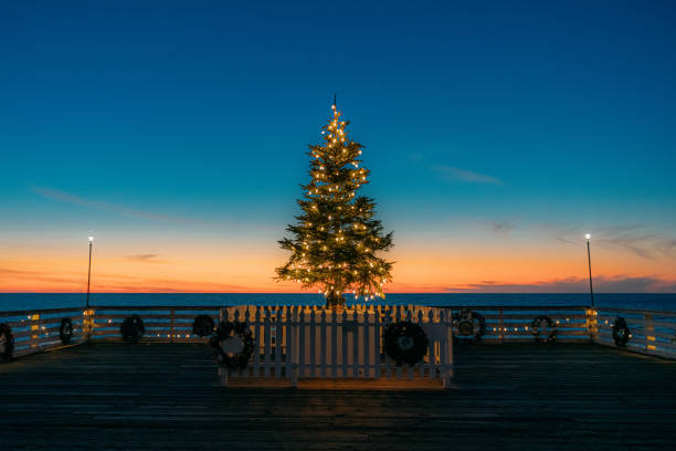 istock Glowing Decorated Christmas Tree on Crystal Pier in San Diego 1455529913