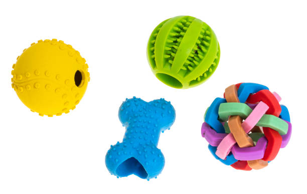 istock dog toys isolated 1455539436