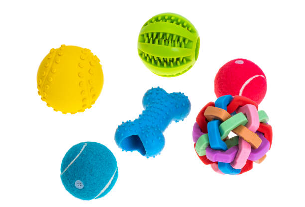 istock dog toys isolated 1455539448