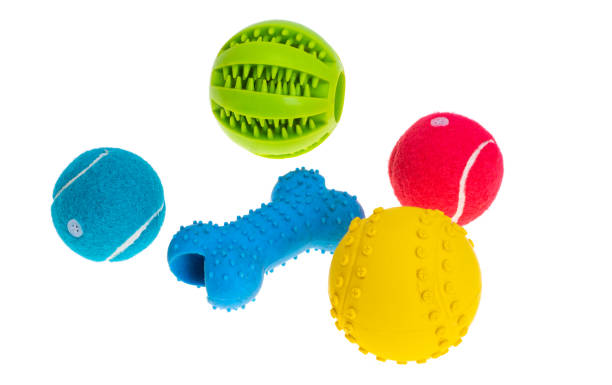 istock dog toys isolated 1455540949