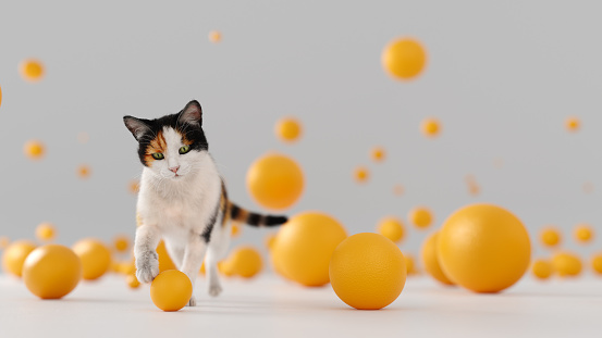 Calico cat playing with yellow balls