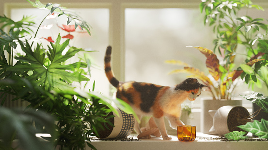 Calico cat on a window sill with knocked over plants, pushing a glass candle holder off of shelf with paw