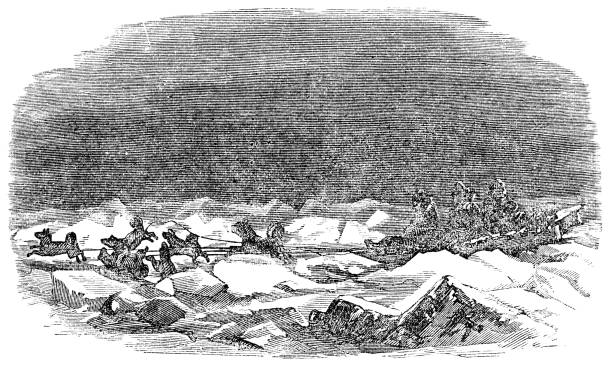 Dogsled traveling across the tundra on Baffin Island, Canada. Vintage etching circa 19th century.