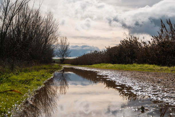 istock road with a puddle in which the clouds are reflected on a stormy day 1455551657