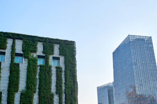 istock Green facade vertical garden in architecture. Ecological building. Green architecture 1455552200