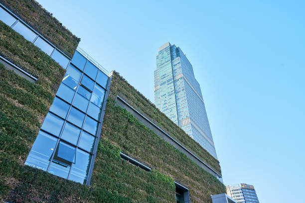 istock Green facade vertical garden in architecture. Ecological building. Green architecture 1455552207