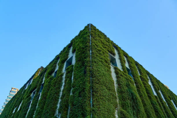 green city - lush green forest and modern skyscrapers windows