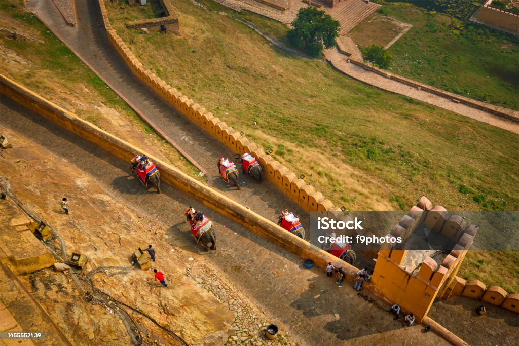 Tourists riding elephants on ascend to Amer fort AMER, INDIA - NOVEMBER 18, 2012: Tourists riding elephants on ascend to Amer (Amber) fort, Rajasthan, India. Amer fort is famous tourist destination and landmark Adult Stock Photo