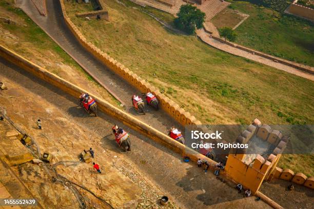 Tourists Riding Elephants On Ascend To Amer Fort Stock Photo - Download Image Now - Adult, Aerial View, Amber