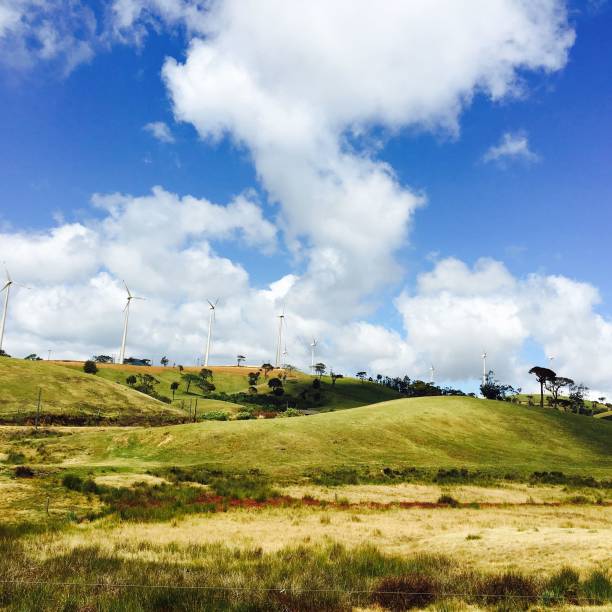 istock Wind turbine on the mountain with a cloudy blue sky 1455554843